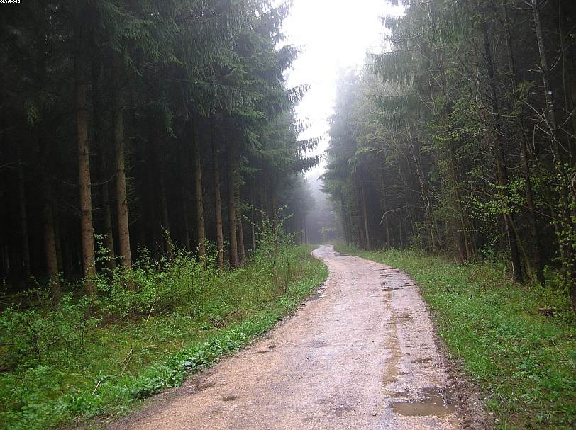 Oltingue  ( FRA )    24. Aprile 2005